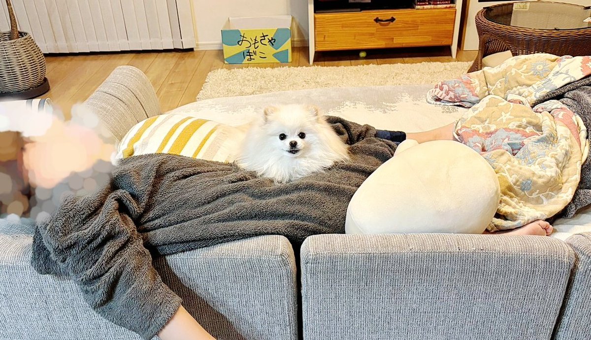 おこめ屋 (@chimaki0328) / Posts / X