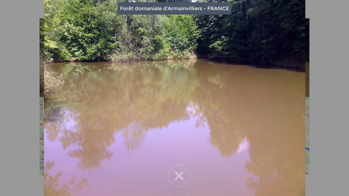DomWolves's tweet image. 📍 Forêt domaniale d’Armainvilliers – France
Pause goûter au cœur de la forêt.
Peu de mots, juste le calme, l’ombre et le temps qui ralentit.
Les batteries se rechargent, doucement.
Parfois, le plus petit pas est aussi le plus nécessaire 👟🌳
#TBW @The_B_Walk