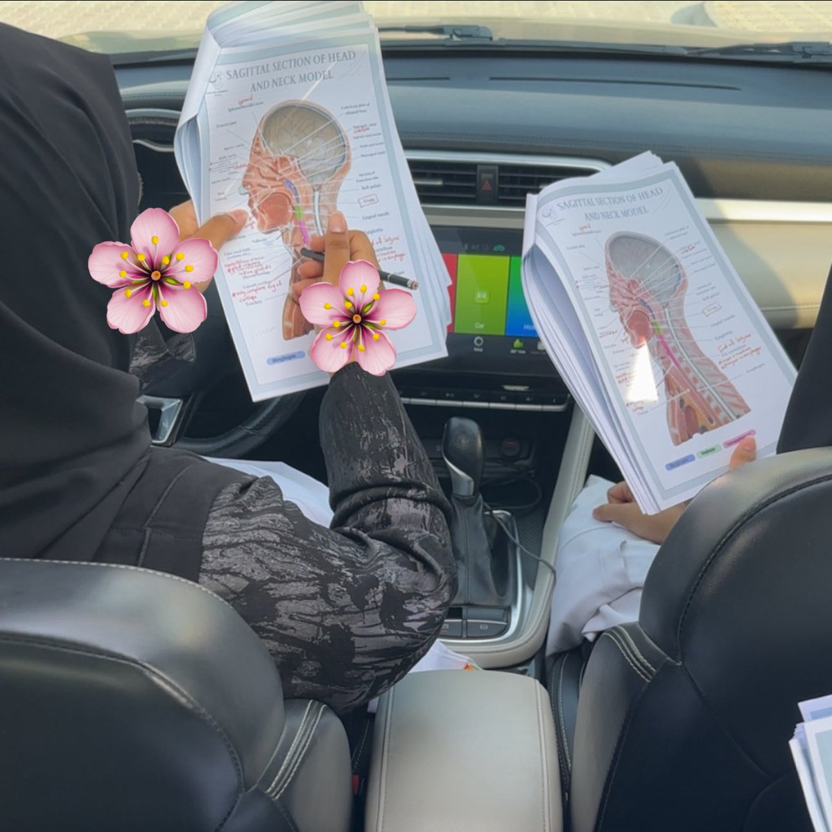 Fatimah Hani tweet media