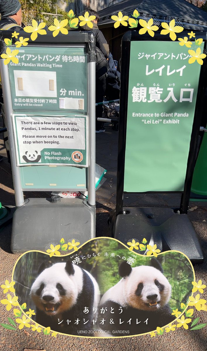 パンダ自身 pandajisin (@pandajisin) / Posts / X