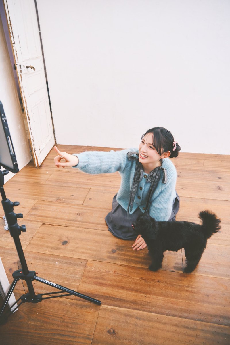 芸術の秋♡可愛いわんこちゃん あきちゃん 可愛い🥰 わんこも可愛い🥰 どちらも可愛い🥰 そうなのよ