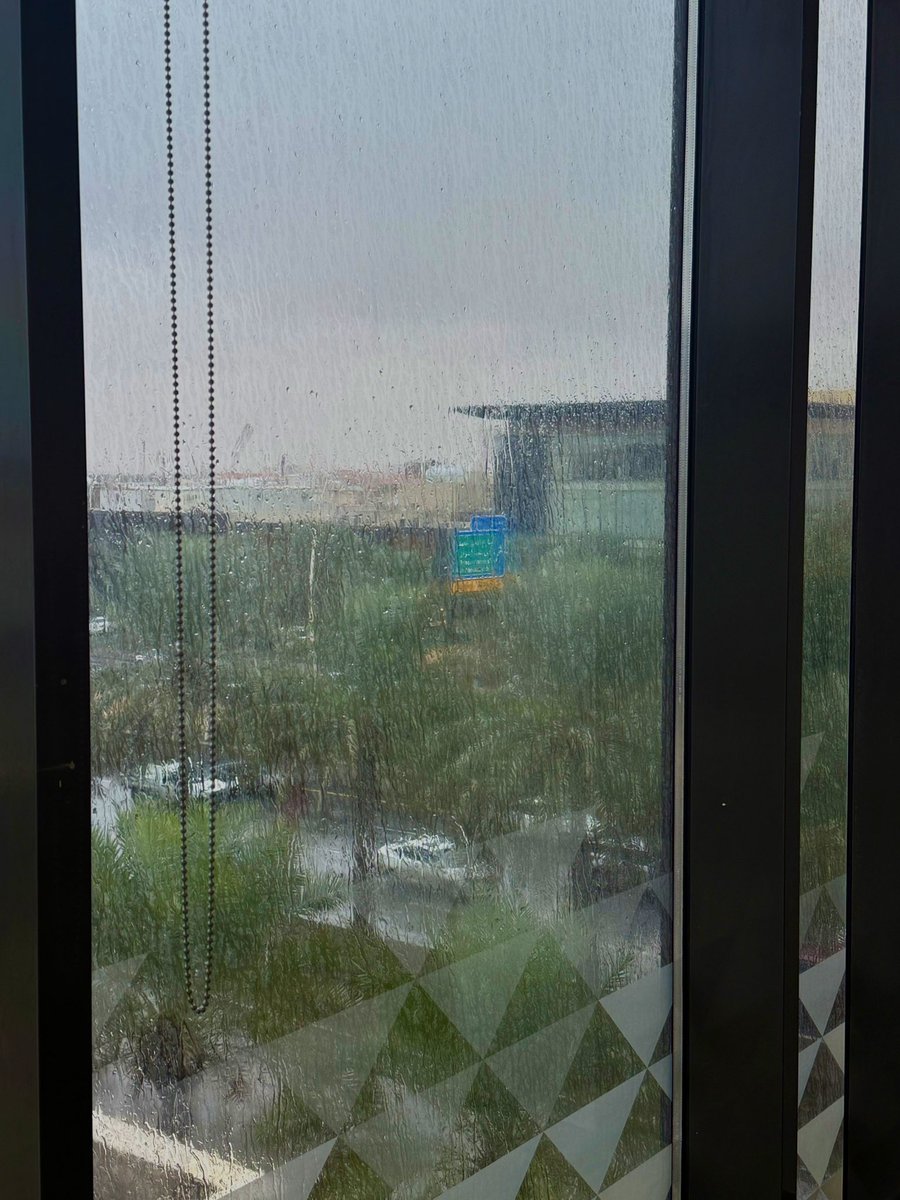 دانـه tweet media