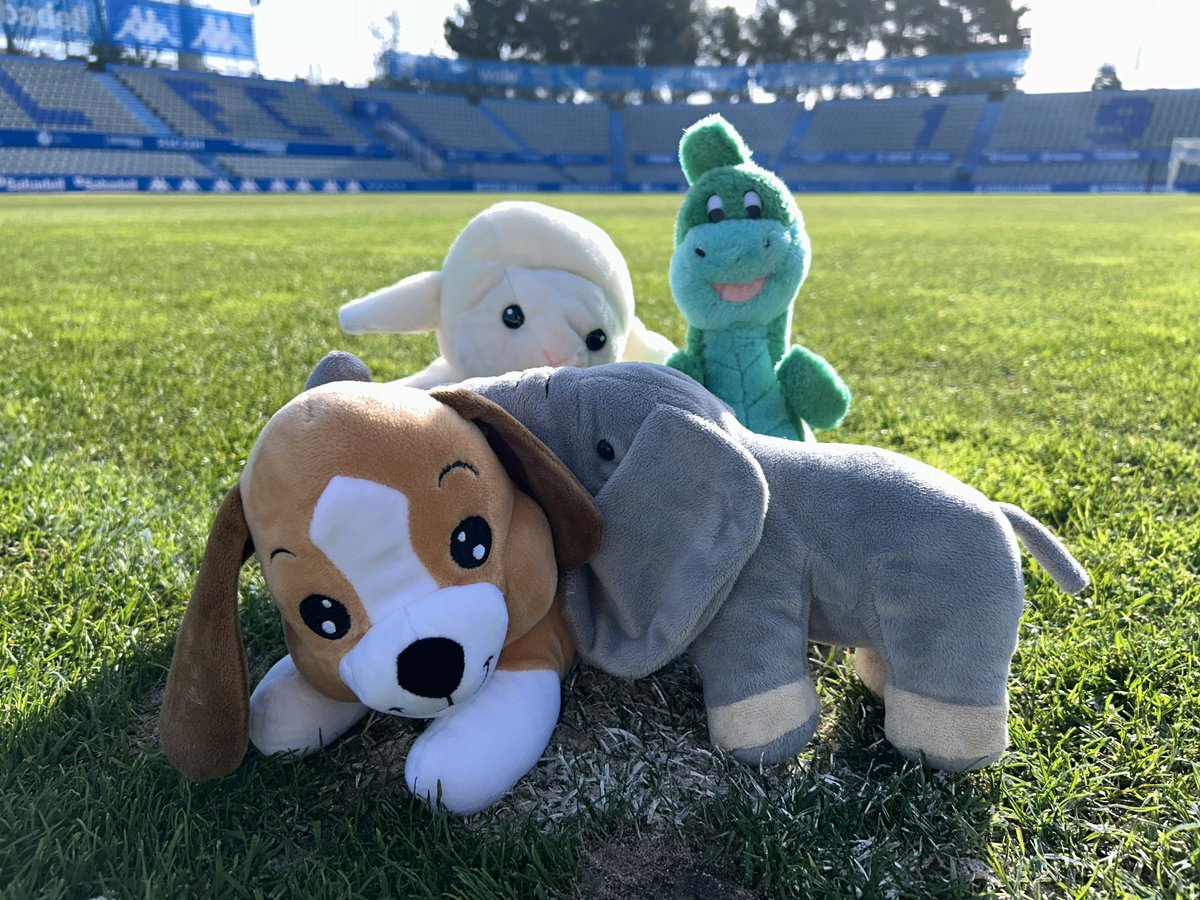 🧸 Arlequinats, recordeu preparar un peluix per la pluja de peluixos que farem al descans del partit de dissabte!

🏟️ Els llançarem al terreny de joc i seran entregats a <a href="/CreuRojaSBD/">Creu Roja Sabadell</a> 

#AMQM