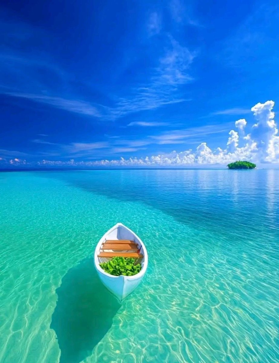 Amazing Nature (@amazingpicshq) on Twitter photo 