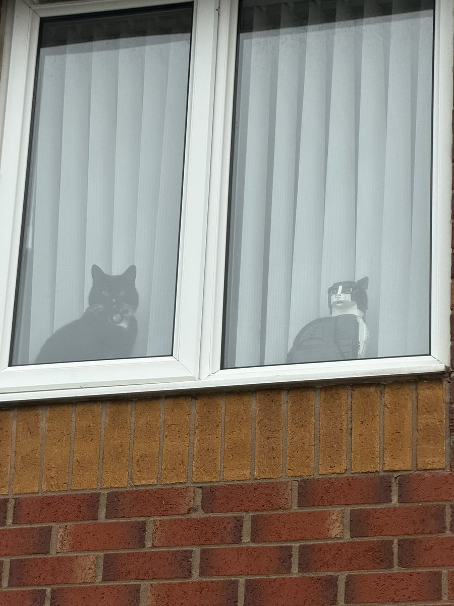 Security has been doubled for Christmas…. <a href="/LEGO_Group/">LEGO</a> <a href="/Argos_Online/">Argos</a>