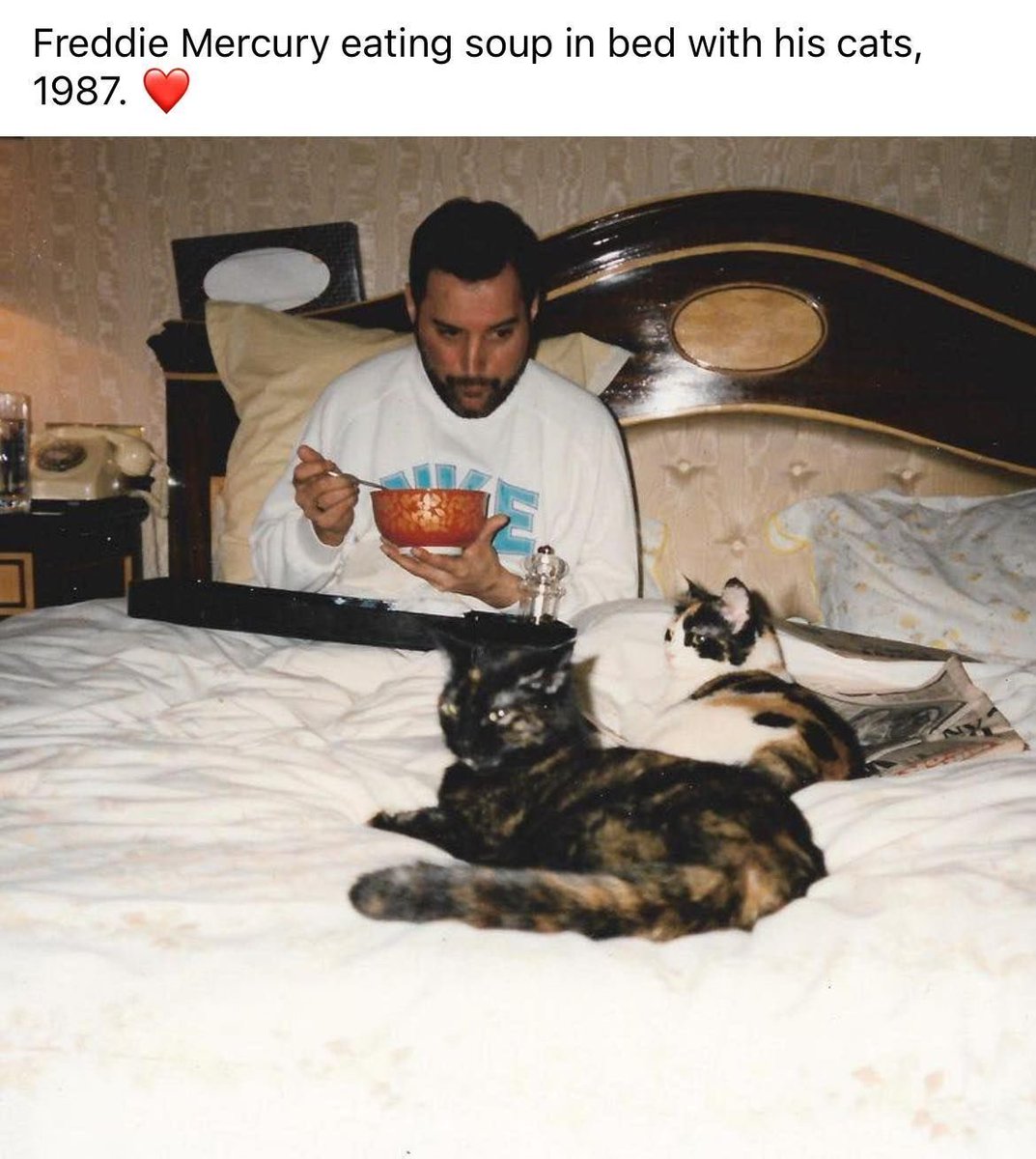 Как надо болеть дома: