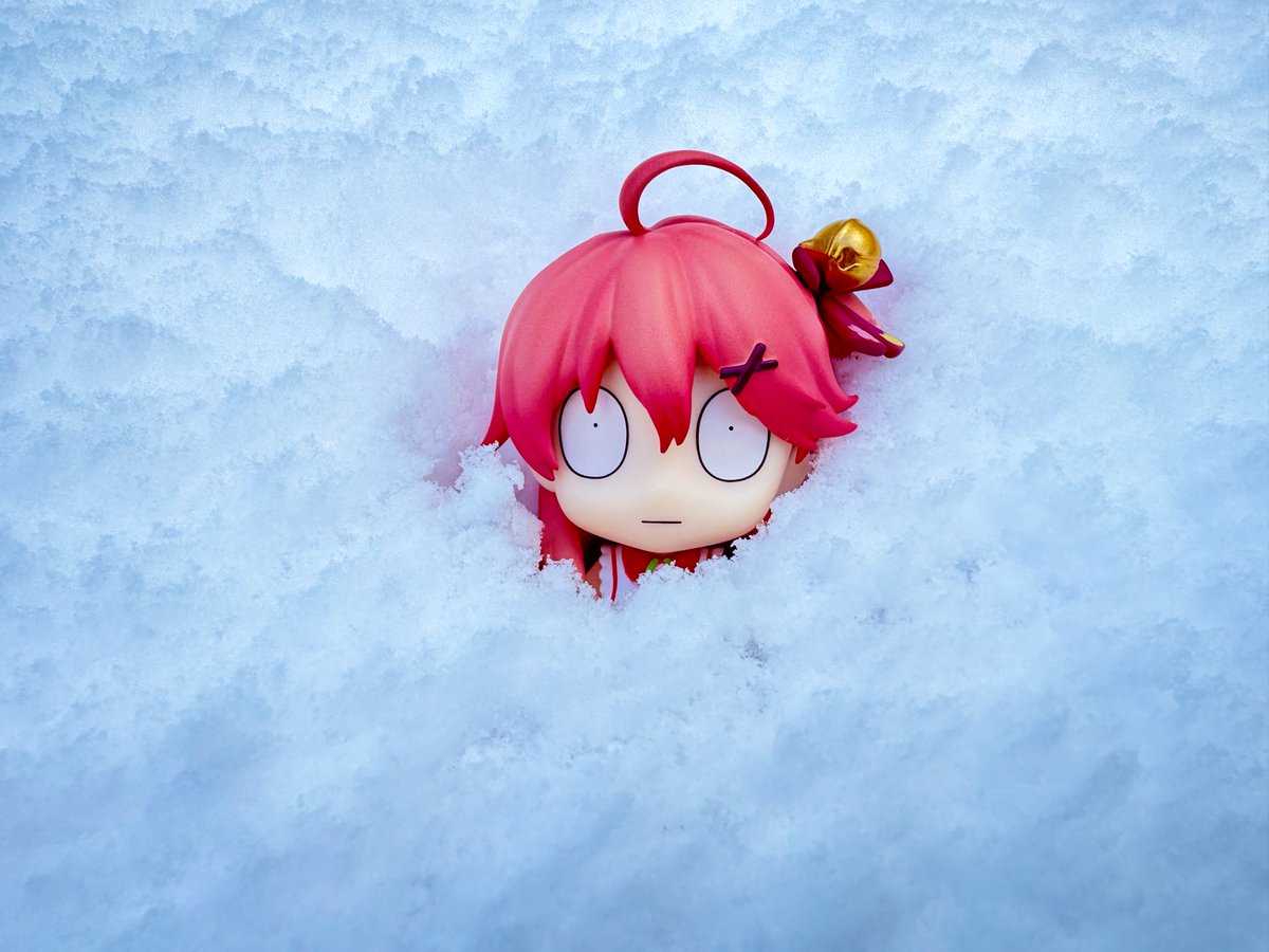 #伸びた伸びないは置いといて2025年自身が思う力作
雪がないと無理だから