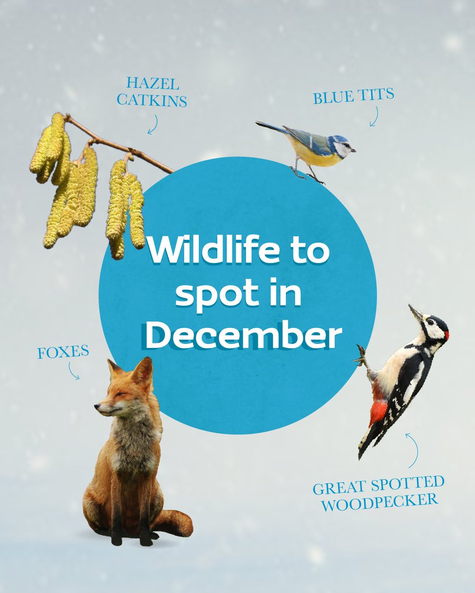 A Rocha UK tweet media