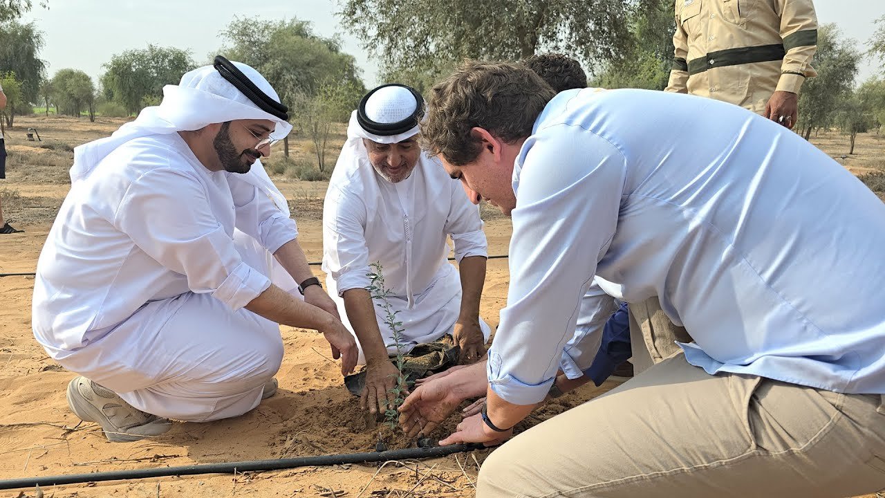 فريق الفورمولا 1 يشارك في تشجير محمية المنتثر بزراعة شجر الغاف #الشارقة24 