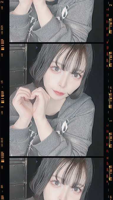 ノラ猫でも愛してくれますか？のツイート