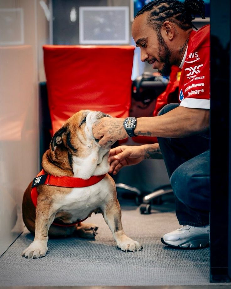 HourlyLewisH's tweet image. Roscoe and Lewis Hamilton