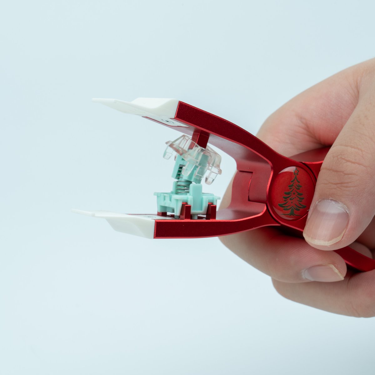 オルカ (@orukaorcat) / Posts / X