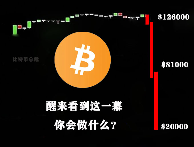 比特币总裁 tweet media