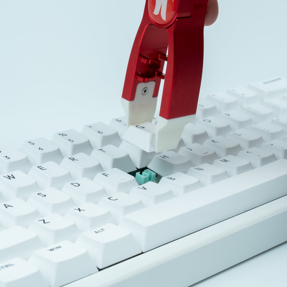 オルカ (@orukaorcat) / Posts / X