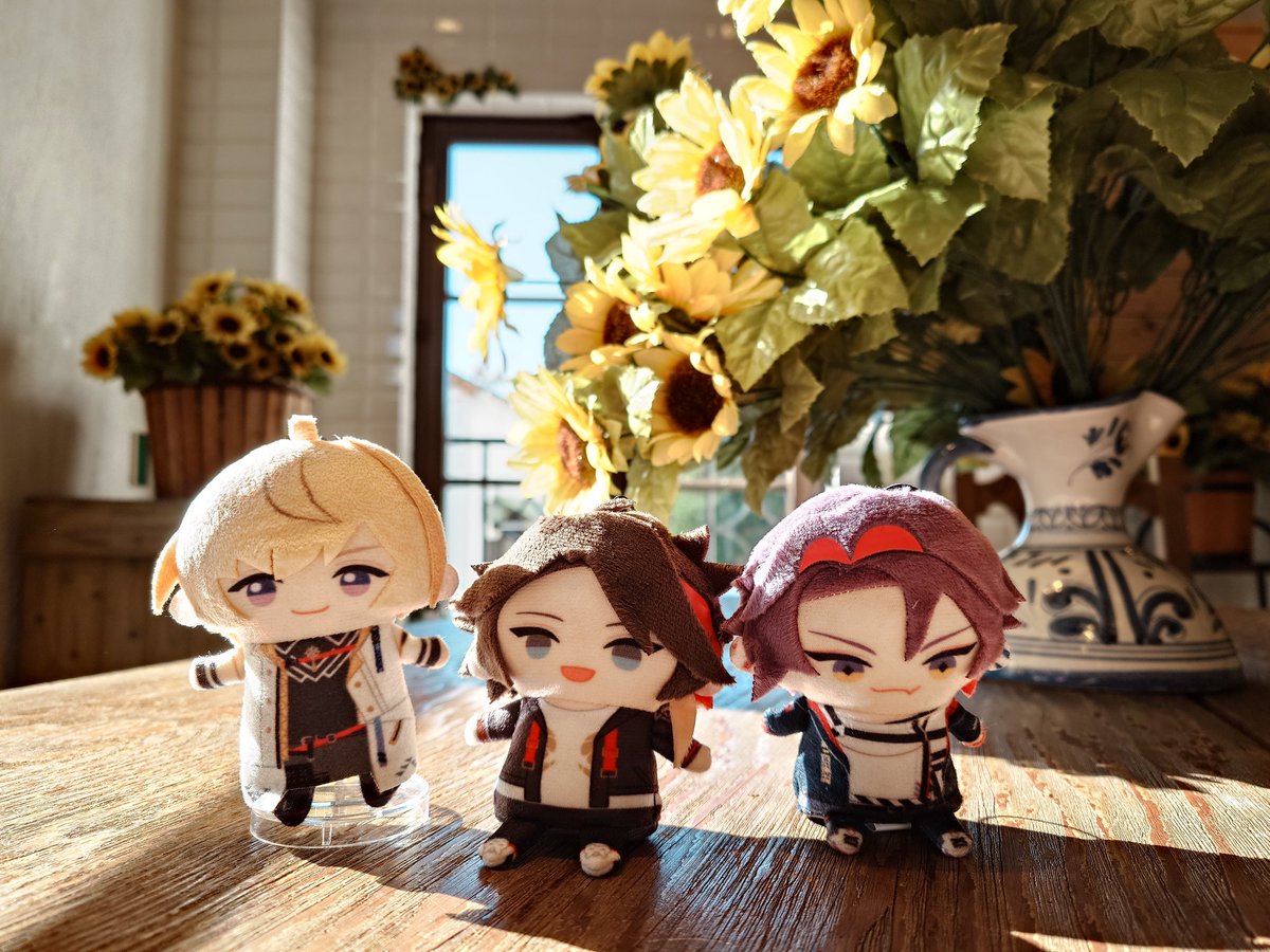 Post by 🍳 on X: 楽しかった☀