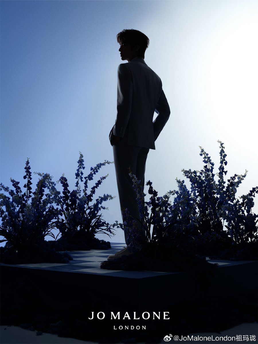 zhang kangle 张康乐 updates tweet media