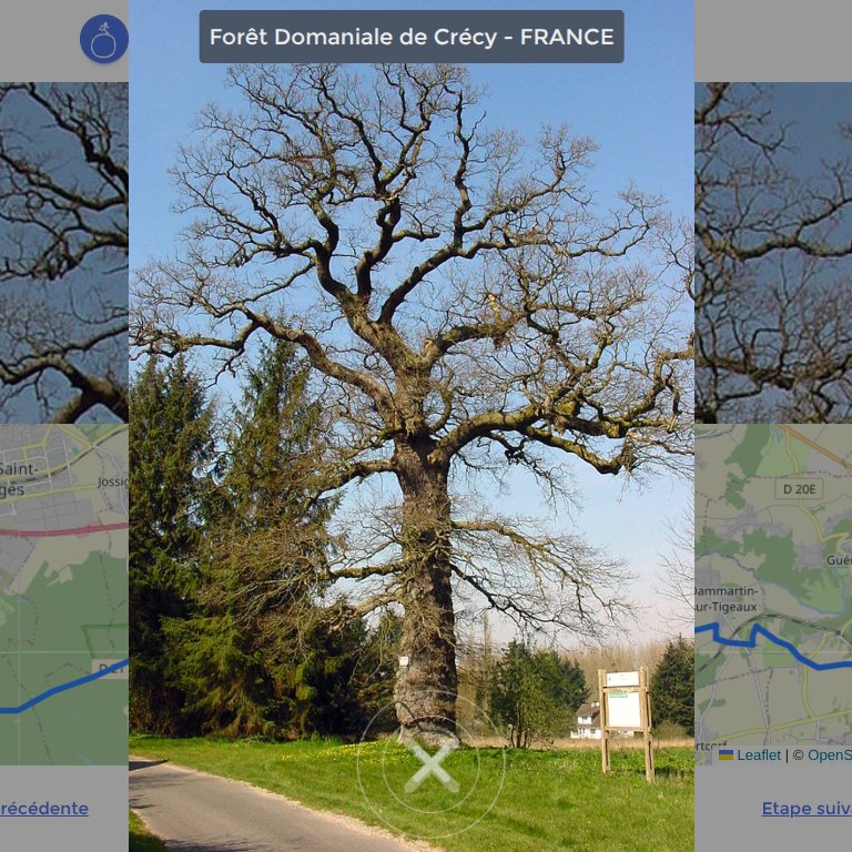 DomWolves's tweet image. Forêt domaniale de Crécy – France
La forêt est dense, habitée de silences et de regards invisibles.
Je ramasse simplement un gland, petit fragment d’éternité.
Peut-être qu’un jour, lui aussi trouvera sa place.
Comme moi, sur ce chemin.
#tbw @The_B_Walk
