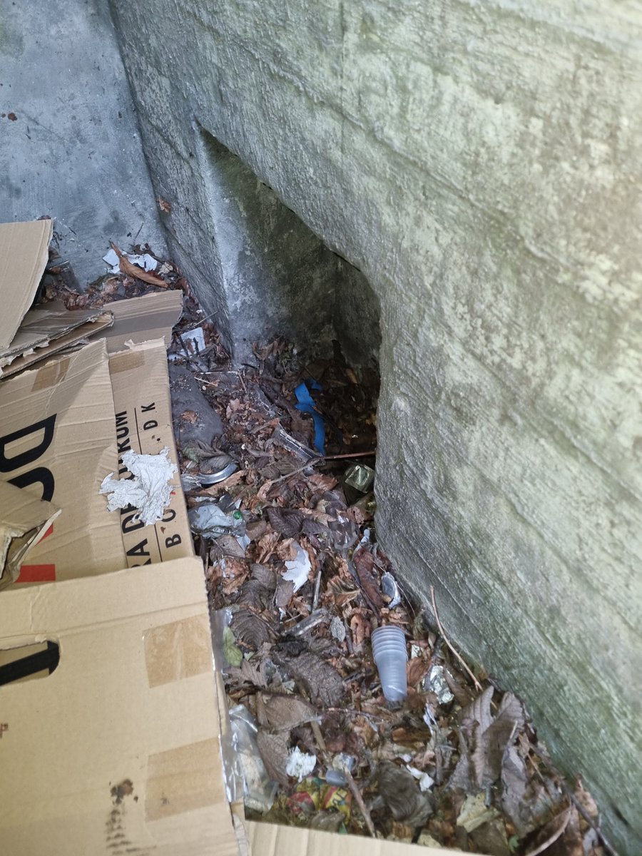 Rasmus Udby tweet media