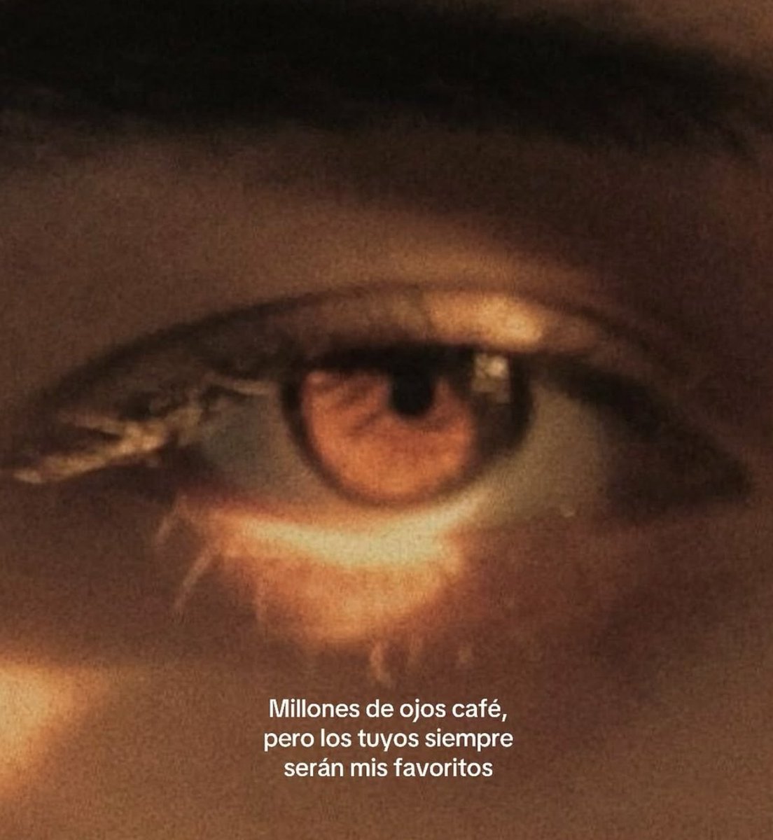 vibes (@vibesfyp) on Twitter photo 