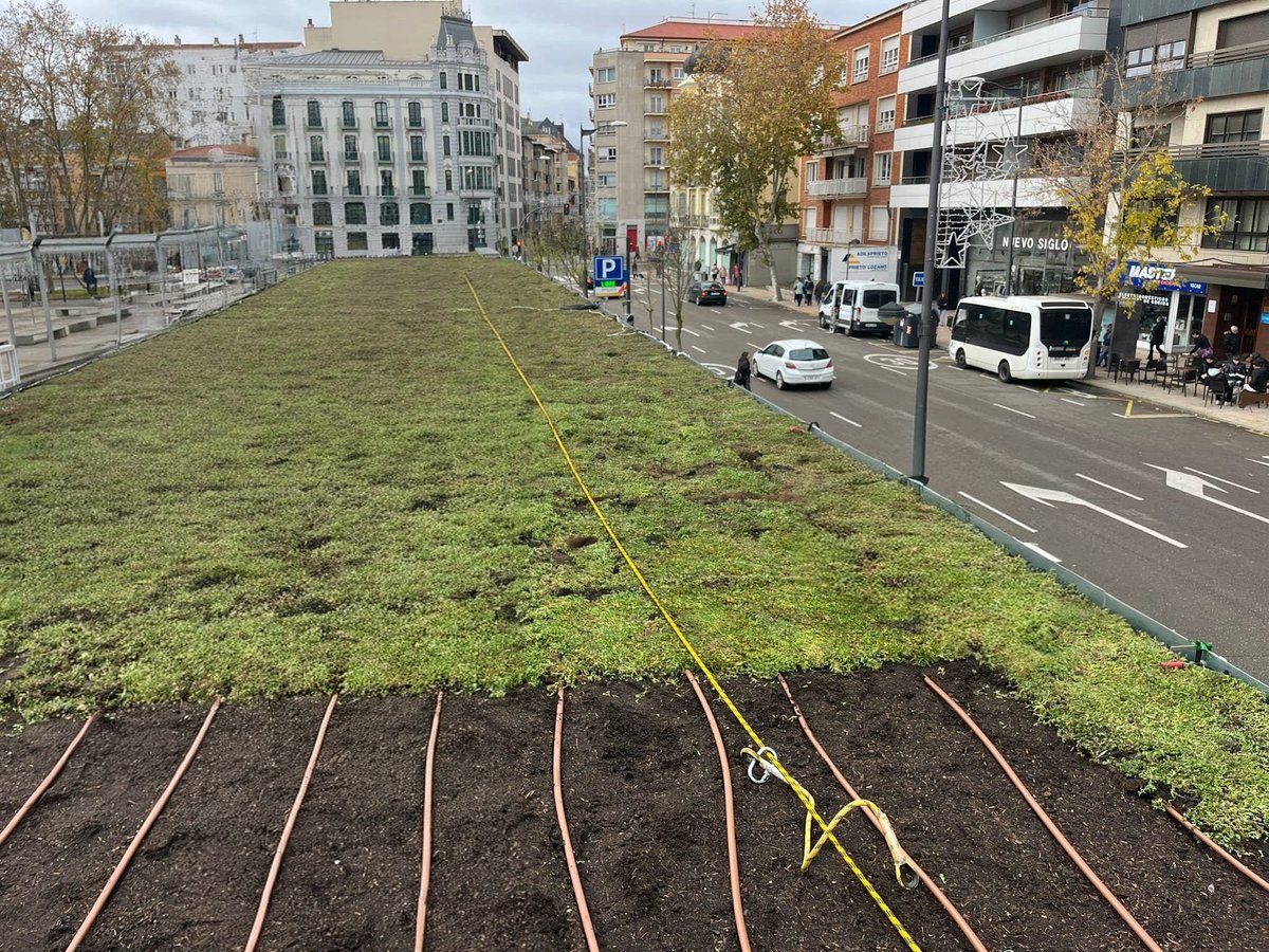 Paco Guarido tweet media