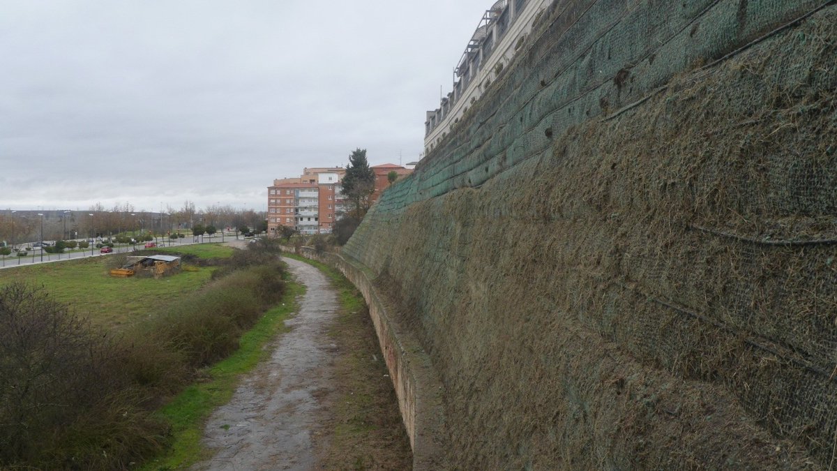 Paco Guarido tweet media