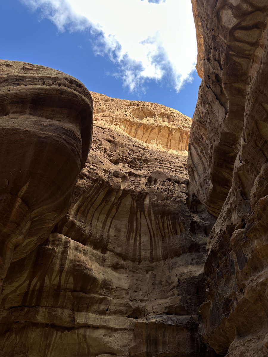 معاذ tweet media