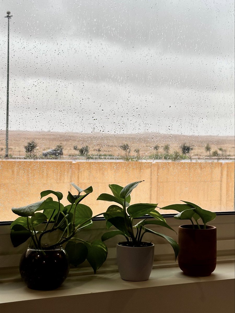 H__078's tweet photo. مطر ، مطر ☔️ https://t.co/zrDbiB9DuI