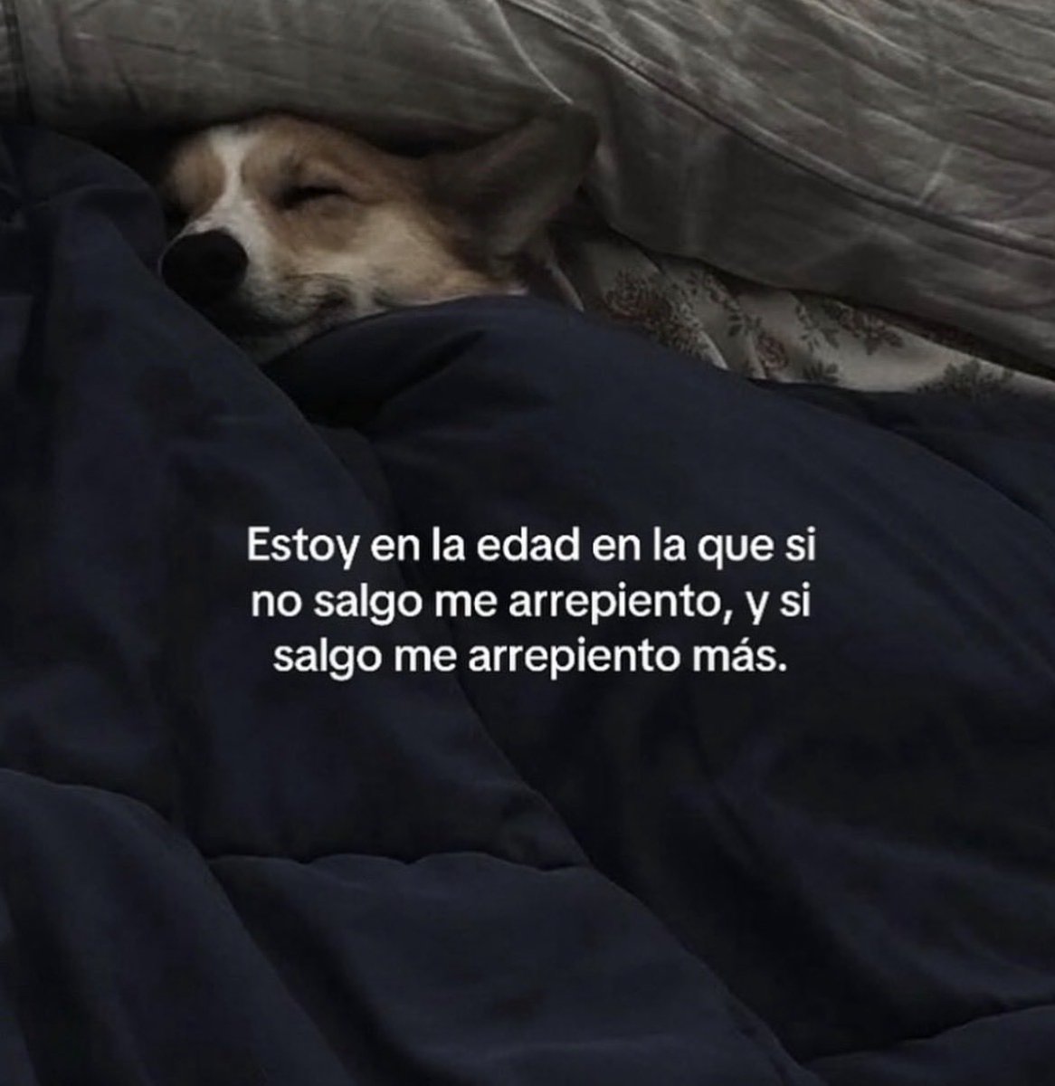 vibesfyp's tweet image. 