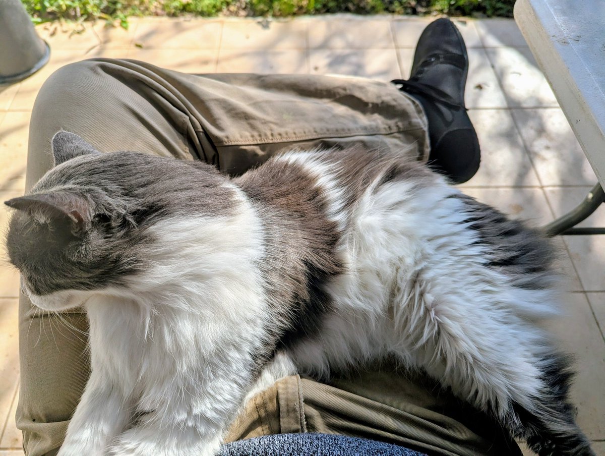 שעה, שעה שאני רוצה לקום, מה עושים?

#פידחתולים #להחמיד_את_הפיד