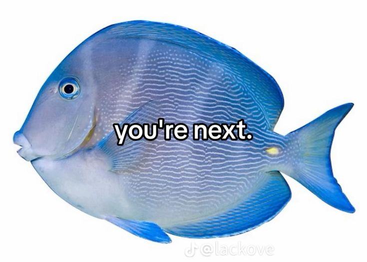 Boundless (@boundlessd2) on Twitter photo 