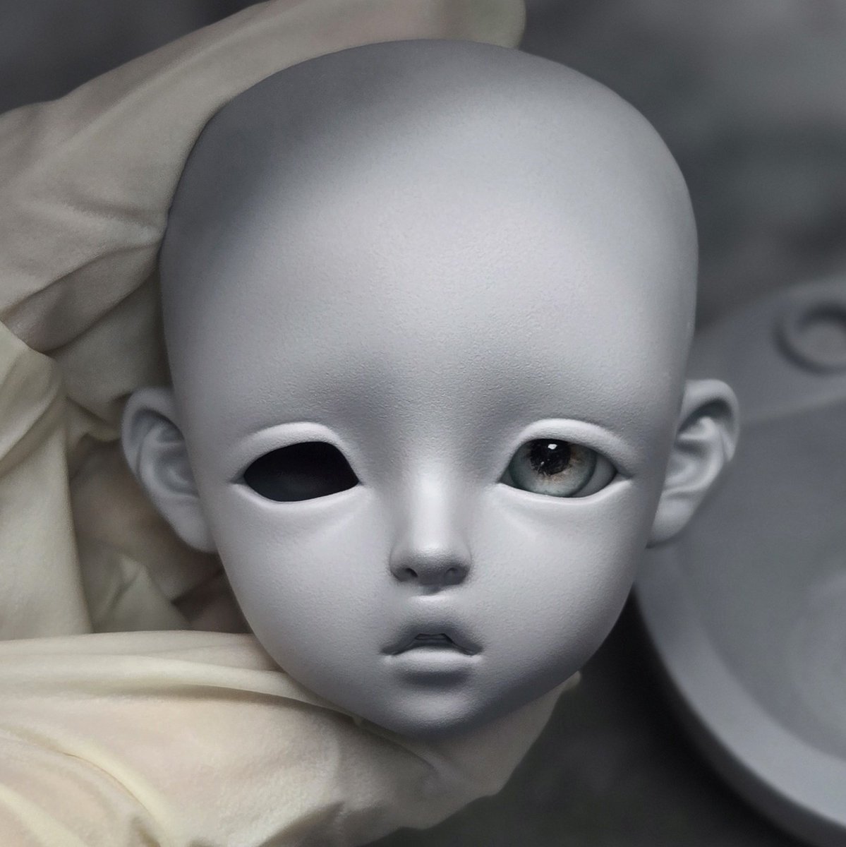 한동안 고양이상만 봤으니 뵤한 강아지상도🐶