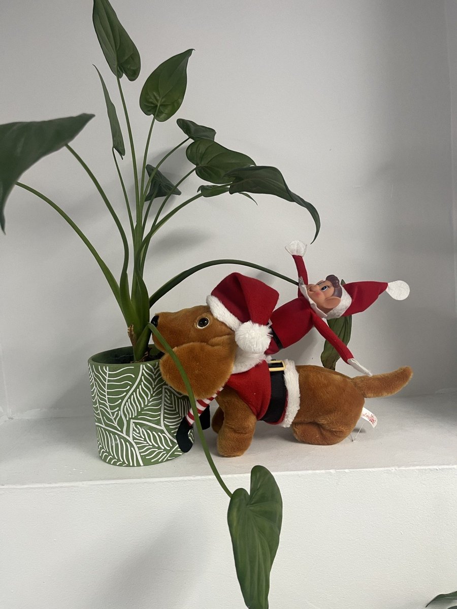 Cranborne Middle School tweet media