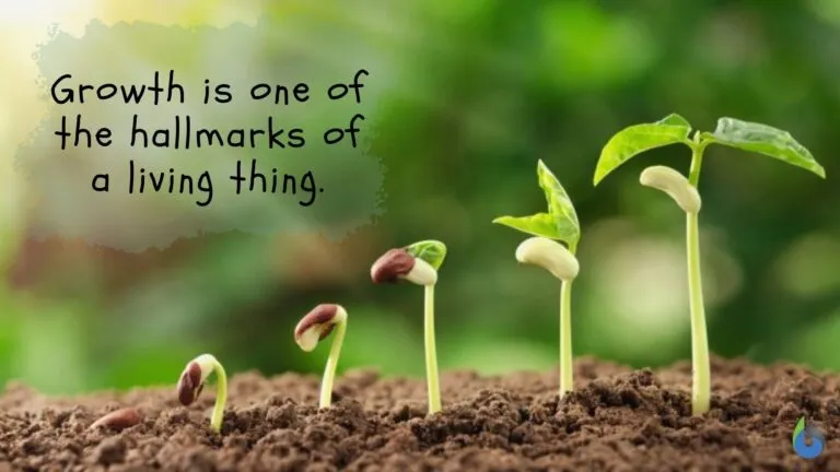 How to Scale Project Promotion via Twitter Bulk DM?

The inspiration for this topic came from a recent idea by <a href="/0xViviennn/">0xVivien</a>. Using Twitter DMs for project promotion is actually a brilliant move. On one hand, it allows for highly targeted outreach—you can curate a list of KOLs to