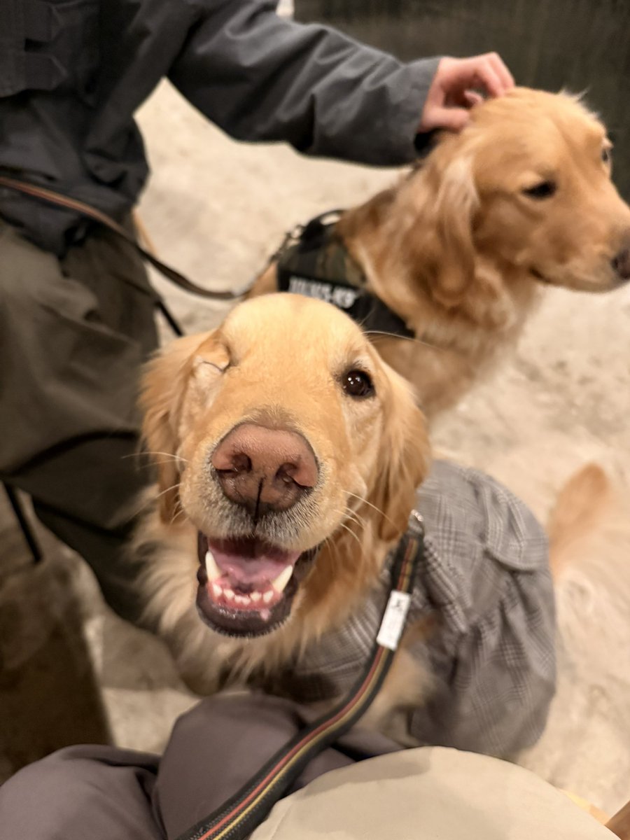 むぎとエール (@mugimeshi05) / Posts / X