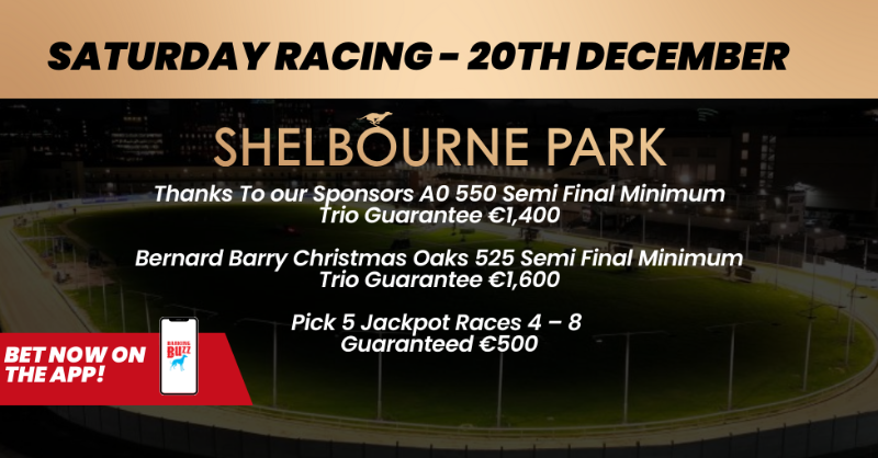 shelbournepark's tweet photo. 🏟 𝗦𝗮𝘁𝘂𝗿𝗱𝗮𝘆 𝗥𝗮𝗰𝗶𝗻𝗴 𝗮𝘁 𝗦𝗵𝗲𝗹𝗯𝗼𝘂𝗿𝗻𝗲 𝗣𝗮𝗿𝗸 🏟

⚡️ Bernard Barry Christmas Oaks Semi Final
💥 Thanks to our Sponsors A0 Semi Final
⚡️ Pick 5 Jackpot Races

Download the Barking Buzz App or Visit: https://t.co/4ffyeKFbch https://t.co/azWQxh9Byt