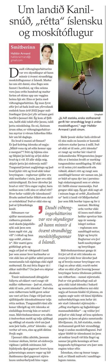 Pistill um dauða viðtengingarháttarins, landið Kanilsnúð, rétta íslensku og moskítóflugur.

English:

On the Land of Cinnamon Buns, “Correct” Icelandic, and Mosquitoes

The death of the subjunctive was so sudden that it recalls the unexpected raid of mosquitoes on Iceland. You