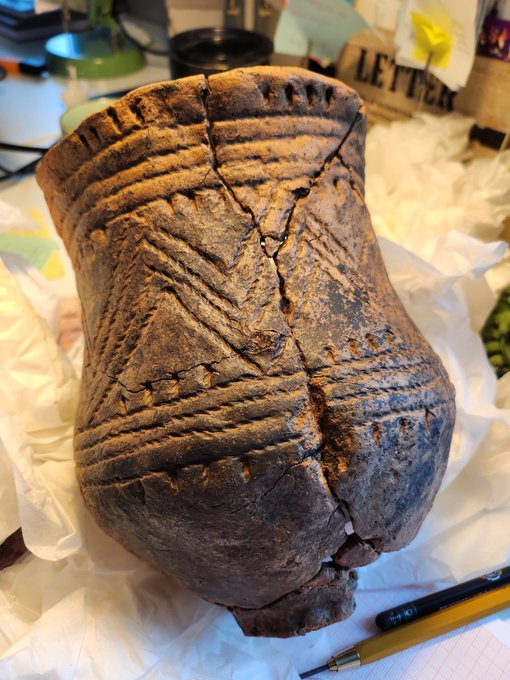 Arch Illu tweet media