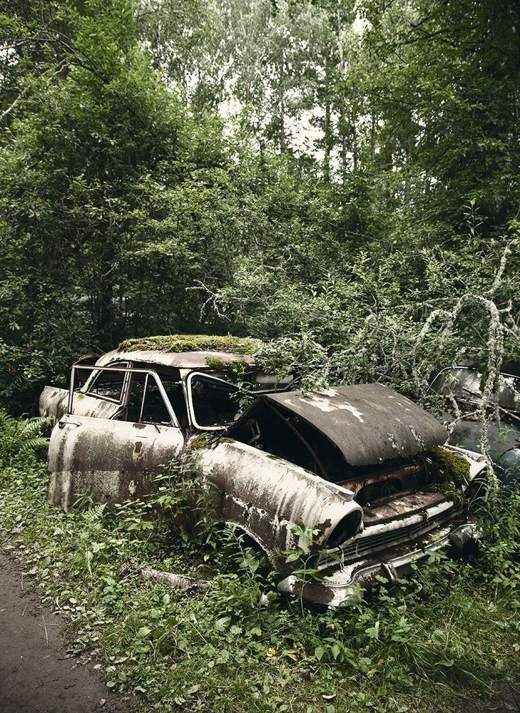 GeneVatow's tweet image. Sum and substance
sophistry ot #regret
adaptation to the realm
of silence
where never lines
are set
Quotient of forgiveness
evolved beyond a sense
Lasting peace
devoid of treasure
Emotion cocked
  finger on the trigger
    final recompense 

#vss365 #regret 
#poetry