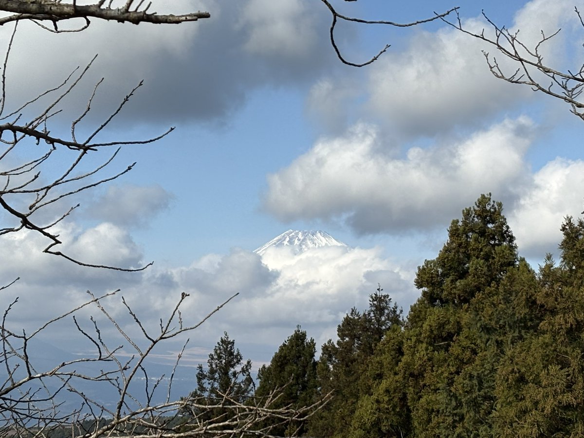 sirowako's tweet photo. ＿山中城🏯
山中城から見る富士山リベンジ目的の訪城でしたが頭だけ､､
てなわけで失敗(ㆀ˘･з･˘)
沼津入った辺りで富士山が隠れてしまった。
やっぱり一筋縄ではいかない。
山中城は相変わらず良いお城でした https://t.co/W7pvsDPzvO