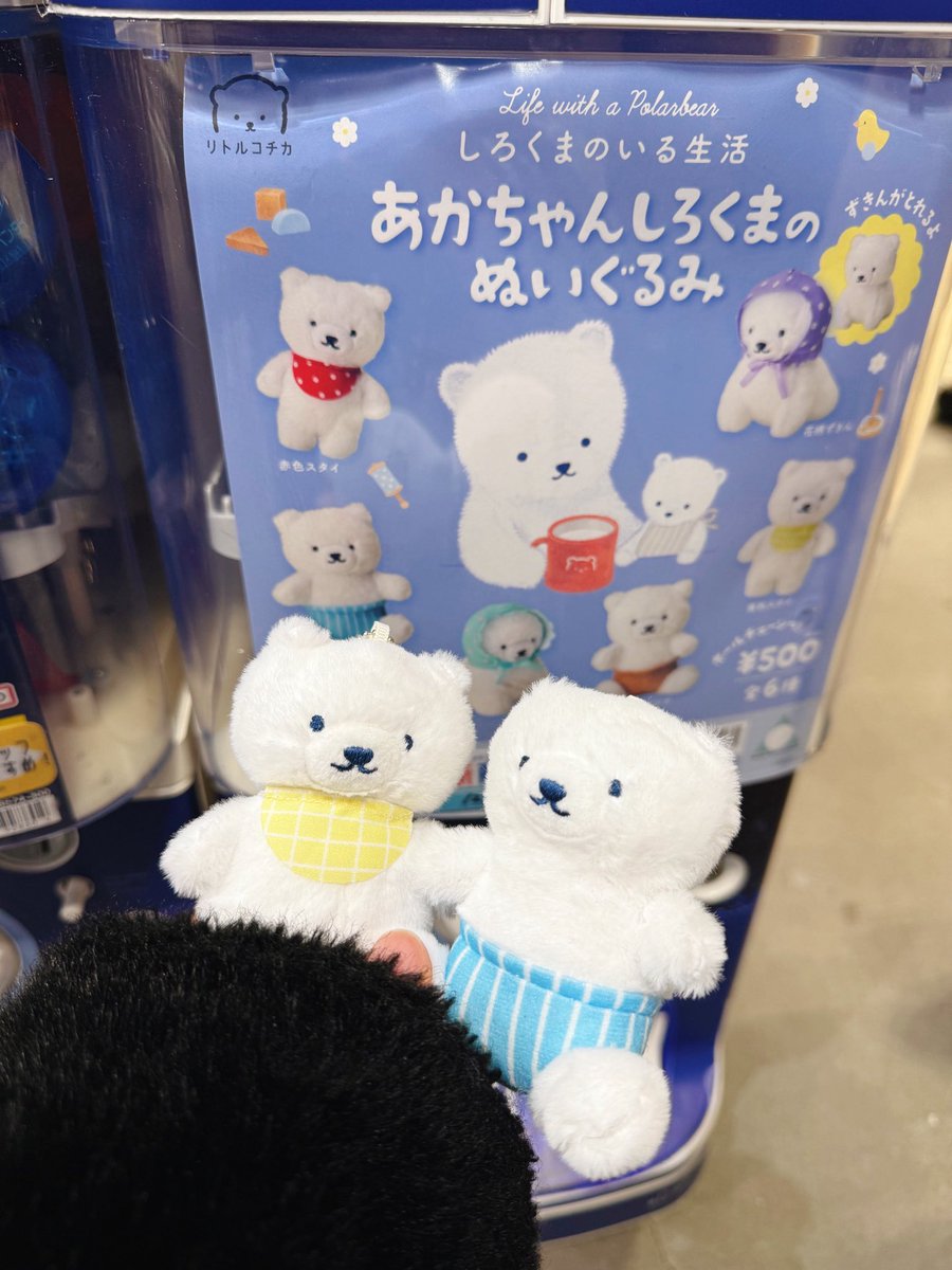 リトルコチカ (@littlekocka) / Posts / X