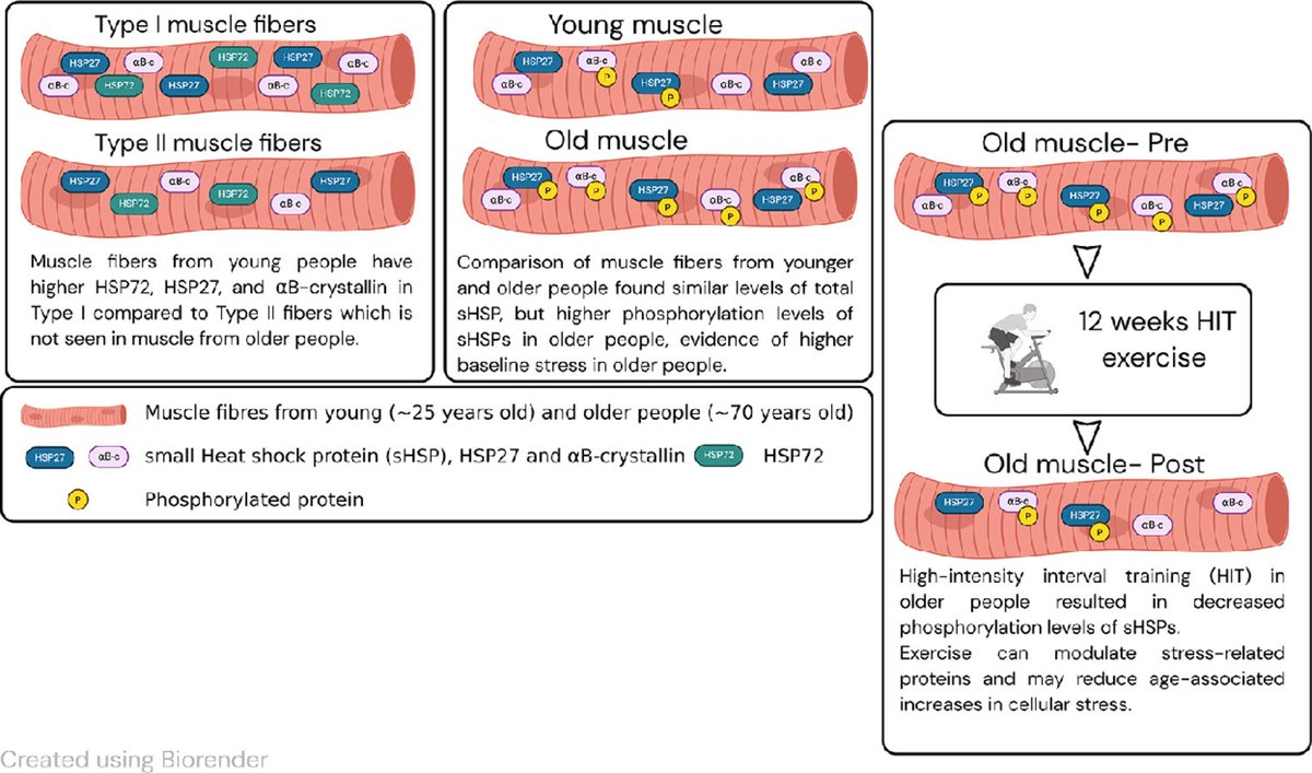 Journal of Sport and Health Science (JSHS) tweet media