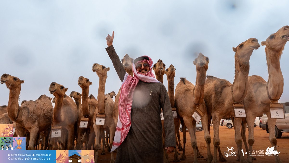 CamelClub's tweet image. 📸| اليوم الثامن عشر 
دخول - شوط الرؤية (نهائي) "شقح" 
سيف الملك "حمر"

#مهرجان_الملك_عبدالعزيز_للإبل10
#نادي_الإبل