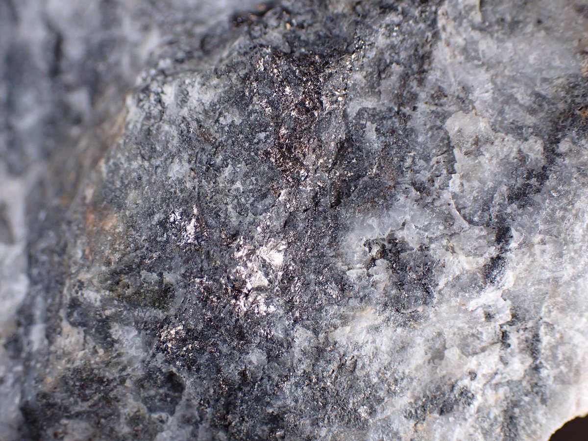 Shiviya (@parashiviyaite) / Posts / X