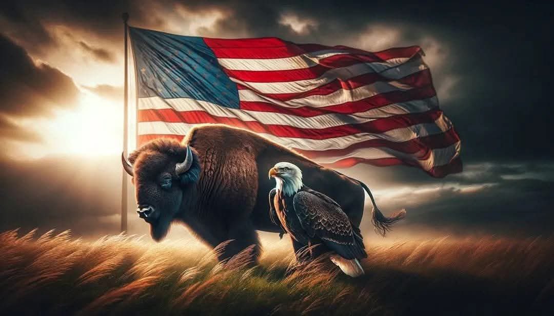 I Pledge Allegiance to the Flag Of The United States of America and to the Republic For Which It Stands, One Nation Under God, Indivisible, With Liberty and Justice for All. God Bless America! #OustTreasonousPoliticians #RestoreOurFreedoms  #MAGA