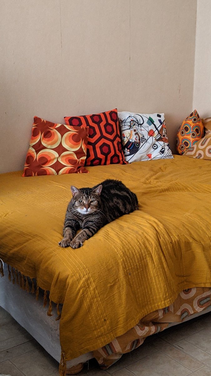 PILGRIM VOUS AIME POUR TOUJOURS 🚜 tweet media