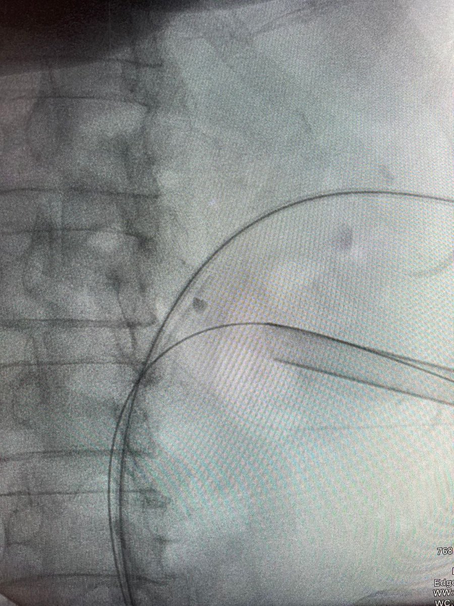 Guido Giusti tweet media