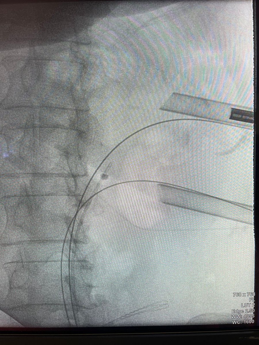 Guido Giusti tweet media