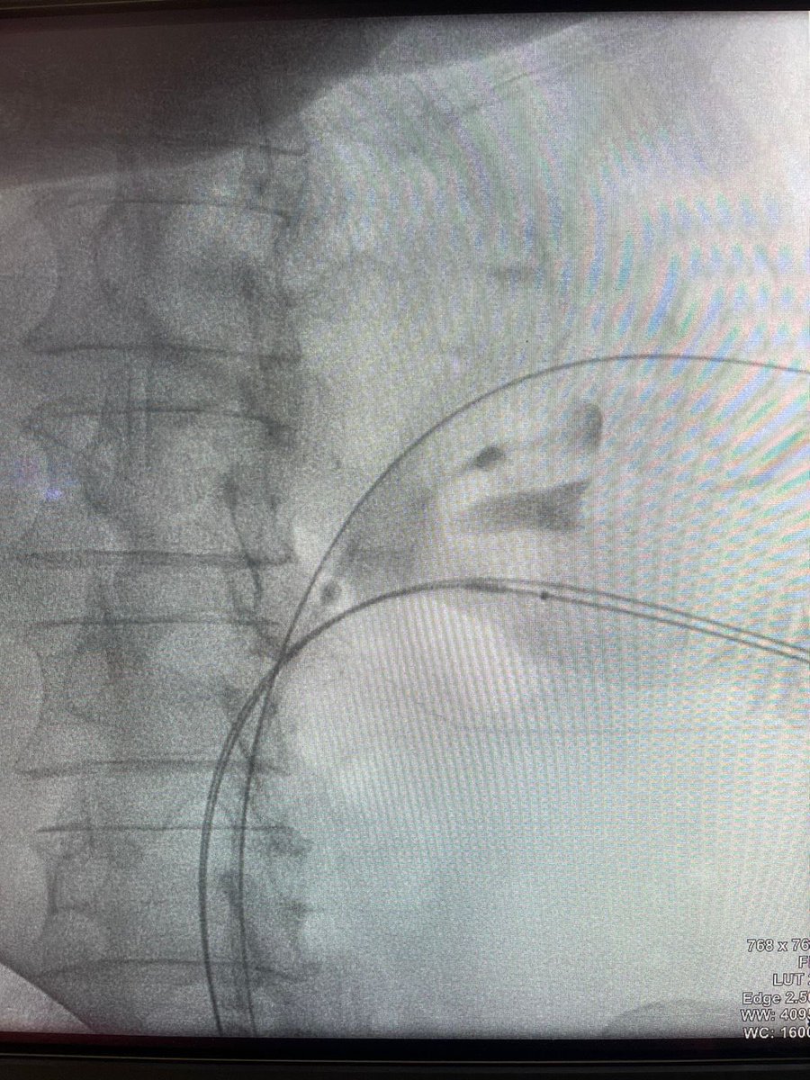 Guido Giusti tweet media
