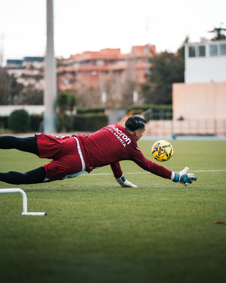 ゴールポストの下にチームの猫たち 😼🧤