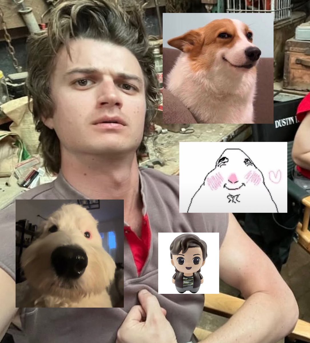 bry⸆⸉ is upside down tweet media